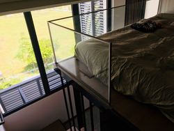 Watertown (D19), Apartment #171232502